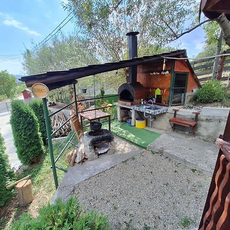 Casa Diana Villa Nucşoara Екстериор снимка