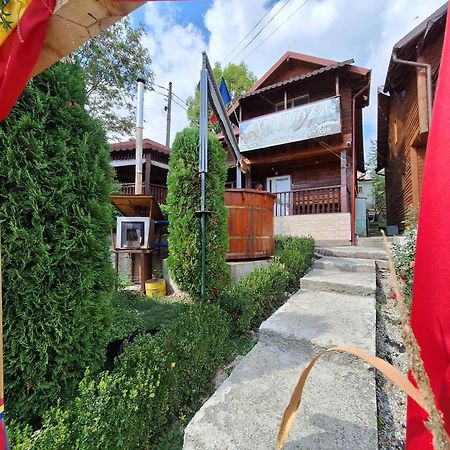 Casa Diana Villa Nucşoara Екстериор снимка