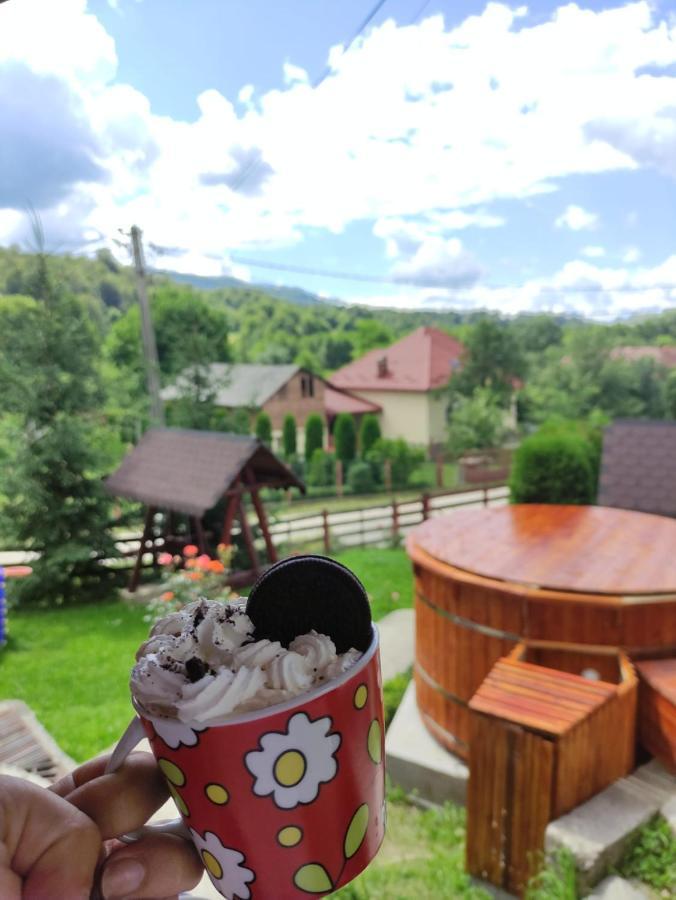 Casa Diana Villa Nucşoara Екстериор снимка